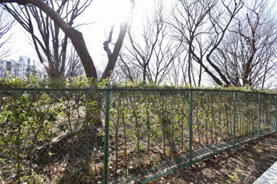 【展望】 | マイキャッスル横濱山手エクセレントステージ | 3階部分からの眺望♪