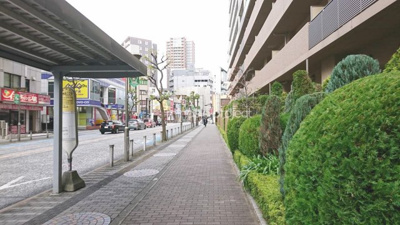 【周辺】 | リーデンススクエア相模原 | リーデンススクエア相模原：前面道路です