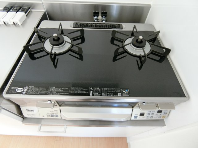 メゾンアムール　B棟のキッチン|イメージ106号室の写真