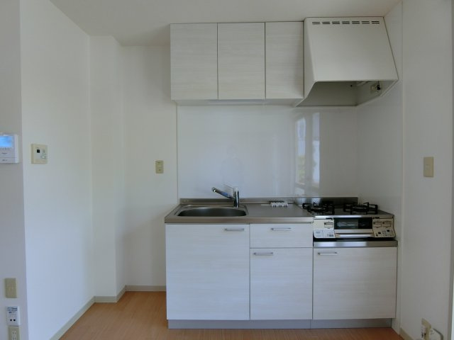 メゾンアムール　B棟のキッチン|イメージ106号室の写真