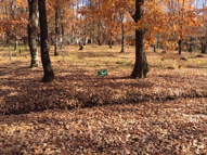 赤城ロマンド分譲地の画像