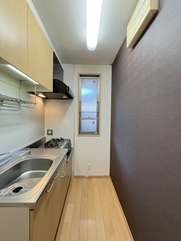 タートルテイルの内装