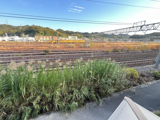 タートルテイルの展望