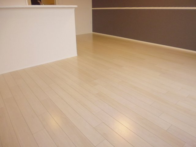 アピラⅡの居間・リビング