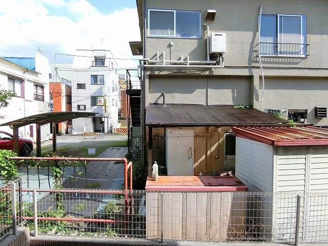 パインツリーフォレストの展望