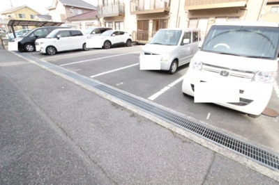  | プルミエール