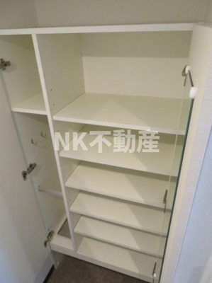 【玄関】 | RIPPLU FUSE EASTⅡ（リップル布施イーストⅡ）（布施賃貸） | シューズボックスです