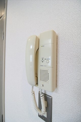 【セキュリティ】 | ビューラー145