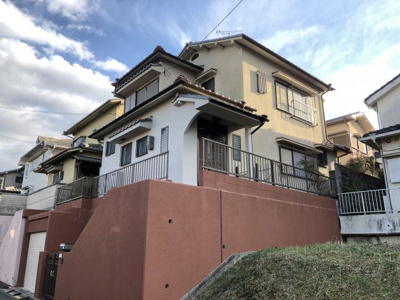 【外観】 | アリ・マウンテン