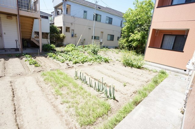 【展望】 | コーポルピナス