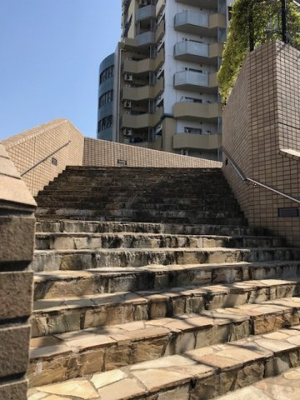 【エントランス】 | コラム神泉