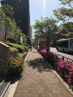 【周辺】 | コラム神泉