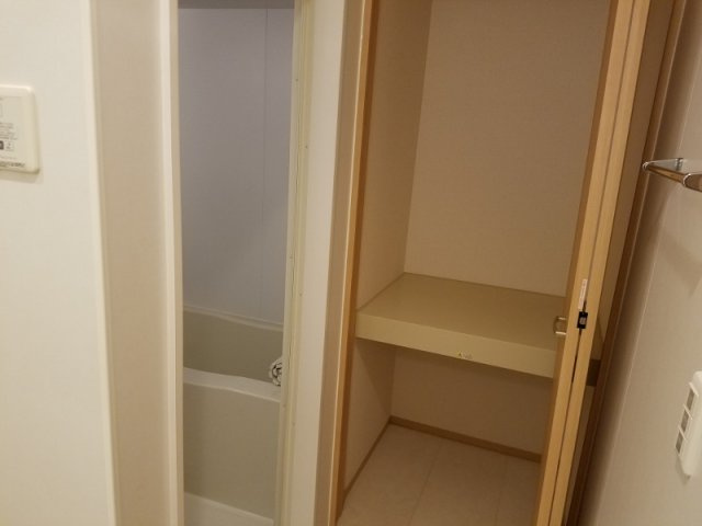 シュトラルヴェヌスのその他|洗面所収納