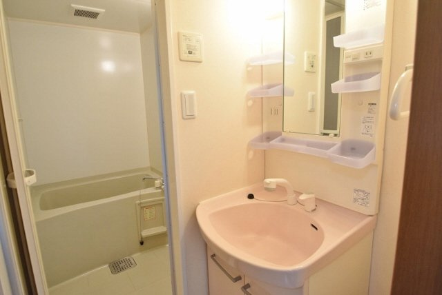 クレインコート弐番館の洗面所|シャンプードレッサー