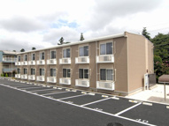 みどりⅡの画像