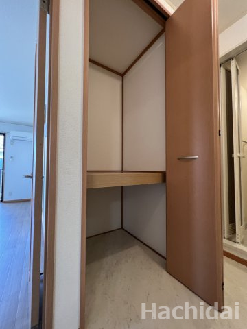 ファミール二池の収納|洗面室収納