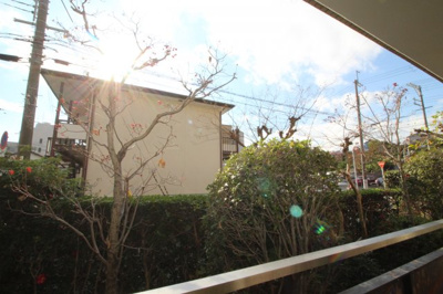 【展望】 | バアダントフラッツ