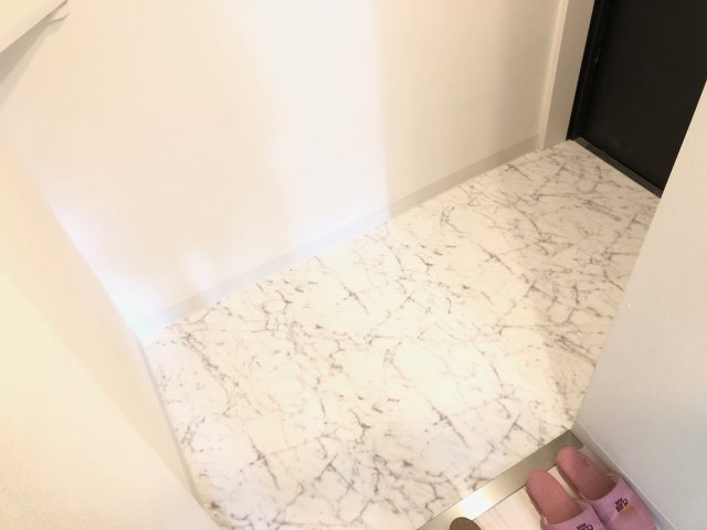 ファーストフィオーレ本町イースト BRAVI不動産の玄関|【ファーストフィオーレ本町イースト】明るい玄関です