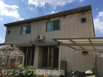 コルネットブランの画像