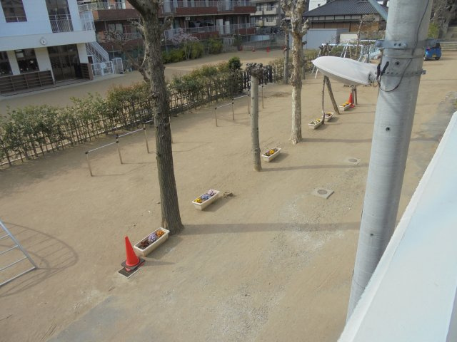 フェリーチェヴィータの周辺