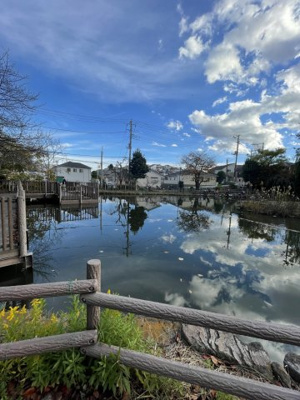 【周辺】 | ライオンズマンション白楽 | 徒歩３分の白幡池公園