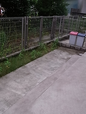 【庭】 | コート坂本