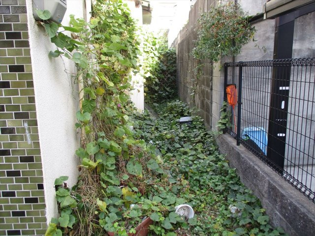 鳴子町1丁目戸建の周辺|鳴子町1丁目戸建　現状貸し、残置物は撤去します。