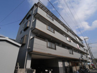 グレースモリモトの画像