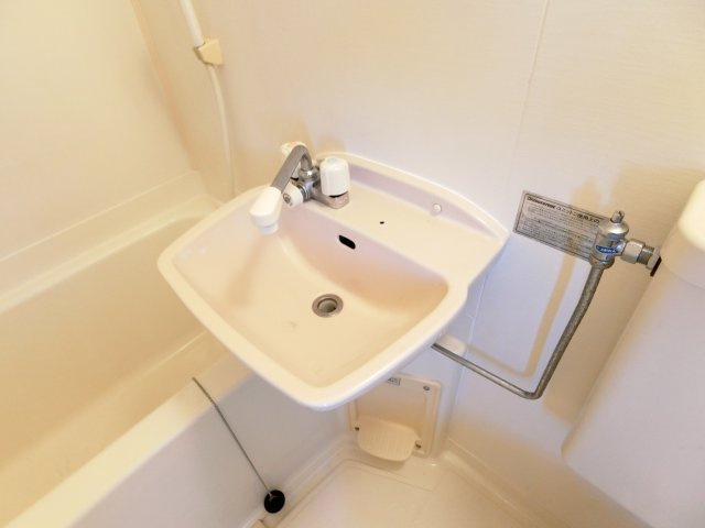 酒谷ハウスの洗面所