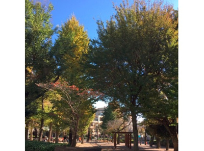 【周辺】 | フォーラス目黒