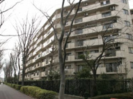 東急ドエル府中ビレジⅡの画像