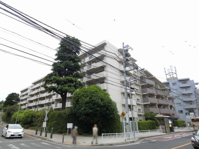 【外観】 | 根岸森林公園ハイツ | ほぼすべての素材を自然素材でこだわったお部屋のため無垢とい草の香りに癒されます。