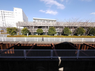【展望】 | 亀田アパート