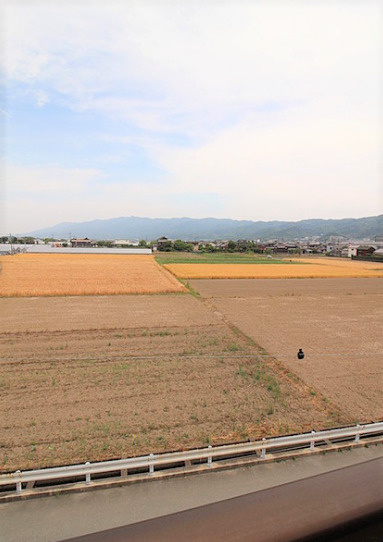シャロム新町の展望