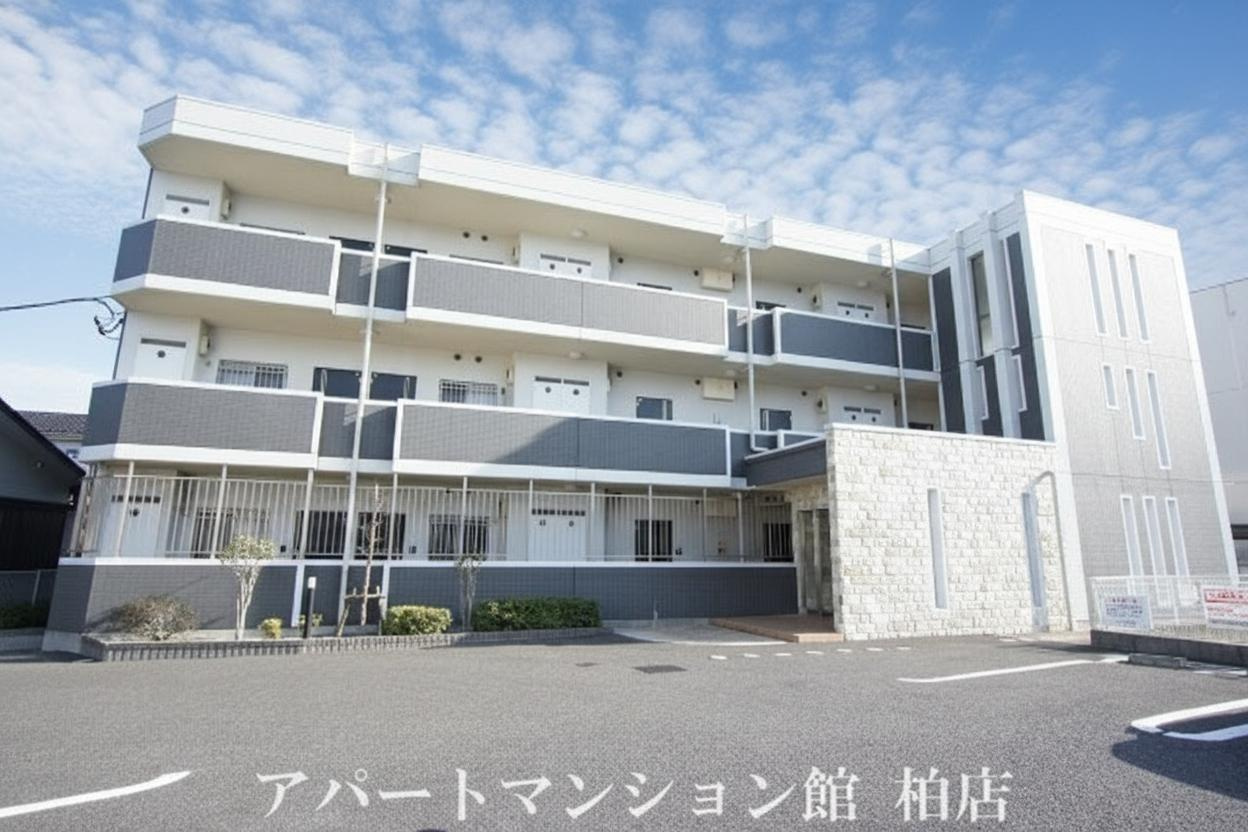 パープルコート・アゼリア