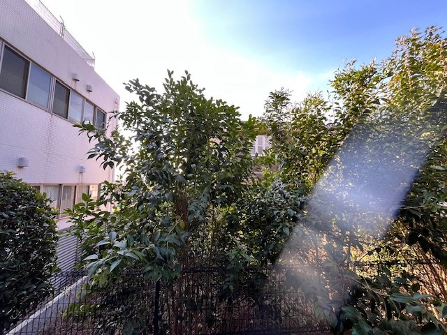 サンハイムの展望