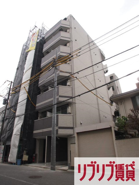 serenite nobuto（セレニテノブト）