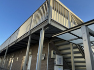 セルシディの画像