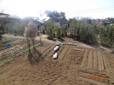 【展望】 | 現地見学会　さいたま市緑区三室　大型開発分譲地全12棟