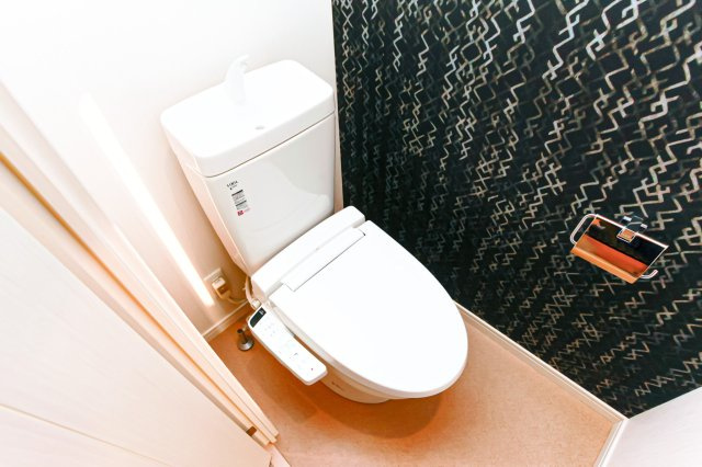 サヴォイソリディティの玄関|別号室のものになります。現状優先。