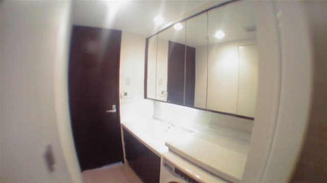 港区港南１丁目の賃貸マンションのその他|洗面