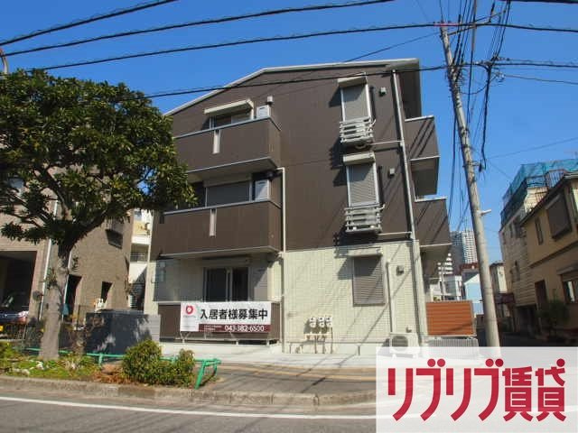 カナミオン