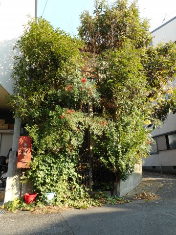 山科区音羽珍事町8番47の外観