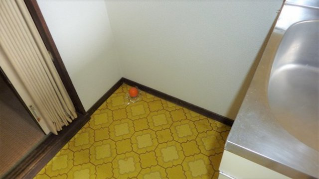 パナハイツのその他