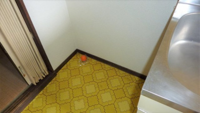 【その他】 | パナハイツ