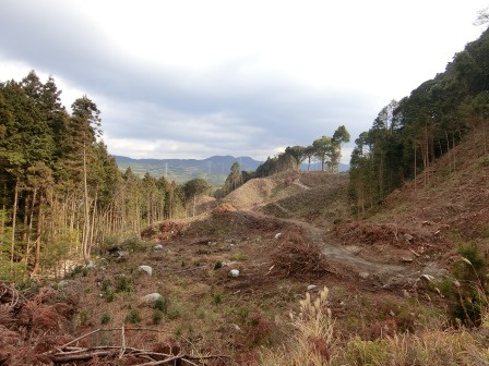 【展望】 | 南面里貸地