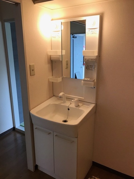 田中ハイツB棟の洗面所