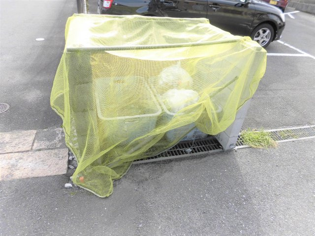 一光林町コーポ第一のその他共用部分