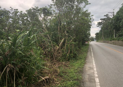 【周辺】 | 名護市呉我　浜沿い土地