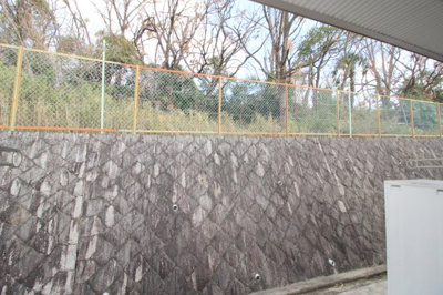 【展望】 | ザウバーヴィントⅢ